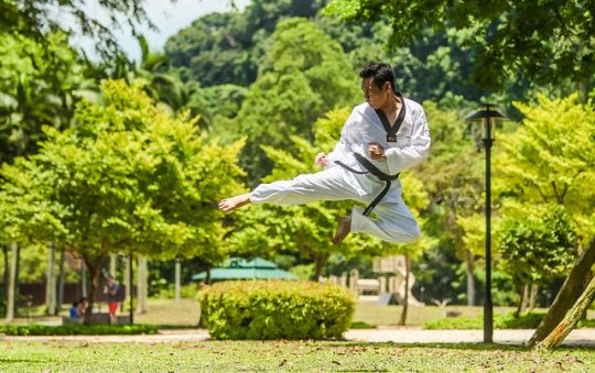 Comment apprendre le Kung-fu à la maison ?