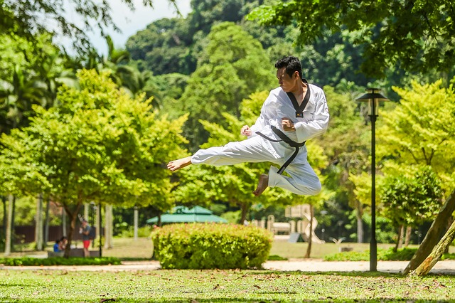 Comment apprendre le Kung-fu à la maison ?
