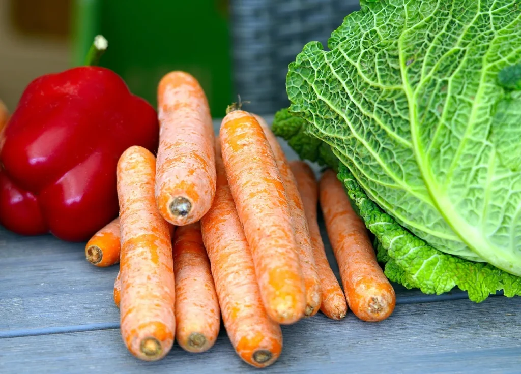 Le sport et l'alimentation : FAQ sur le triathlon et la santé