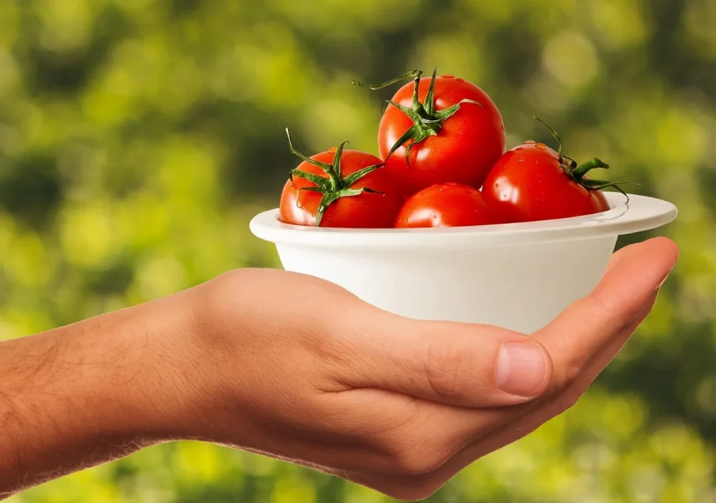 Guide des meilleures pratiques pour une santé de fer
